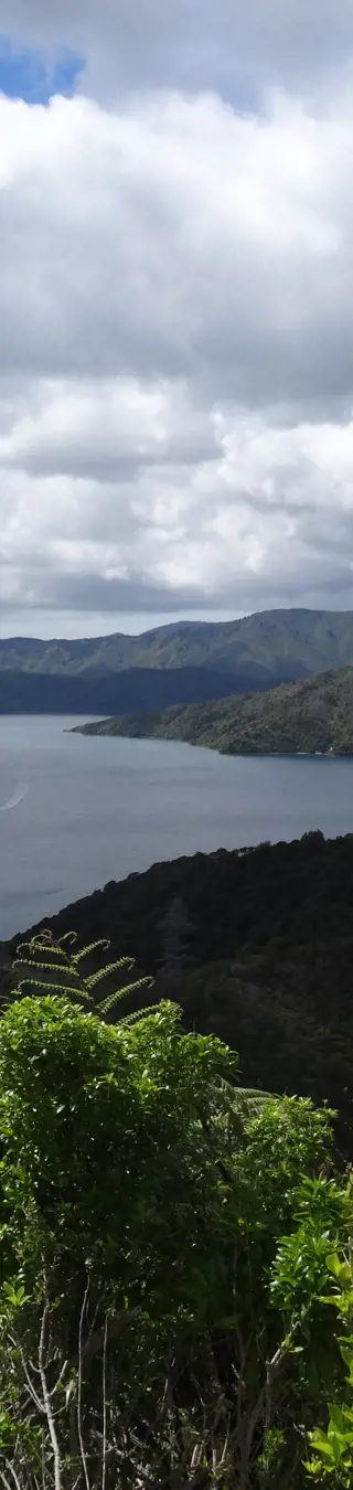 Marlborough Sounds